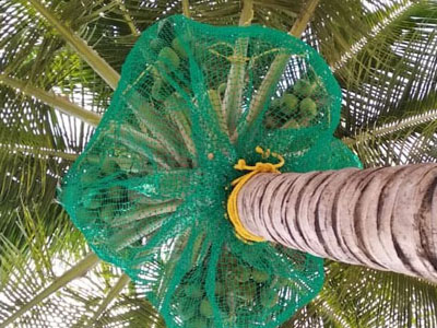 Balcony Safety Nets in Thiruvananthapuram